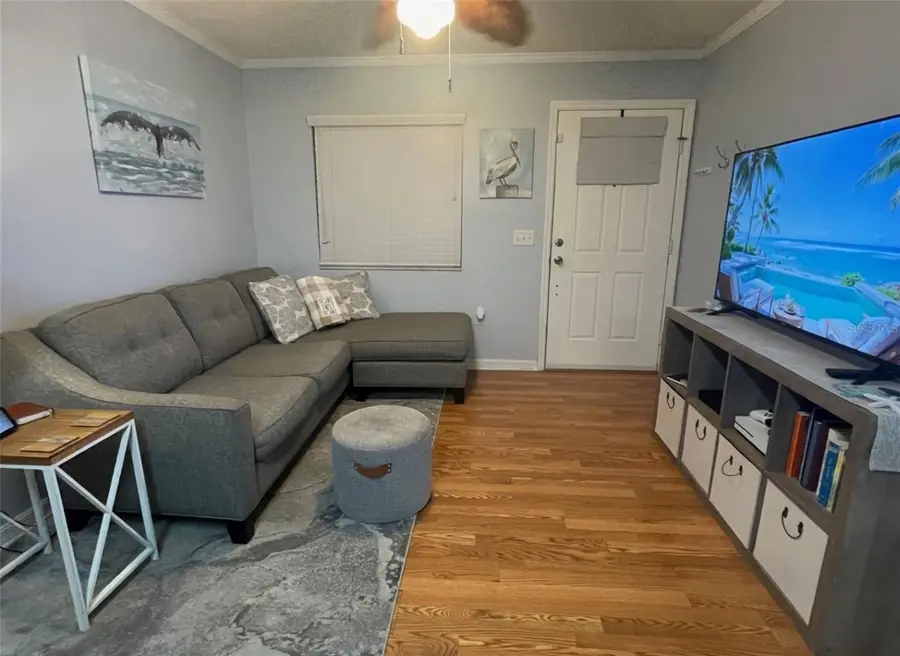 507 Cottage Park Lane, Leesburg, FL 34748 - Image #3