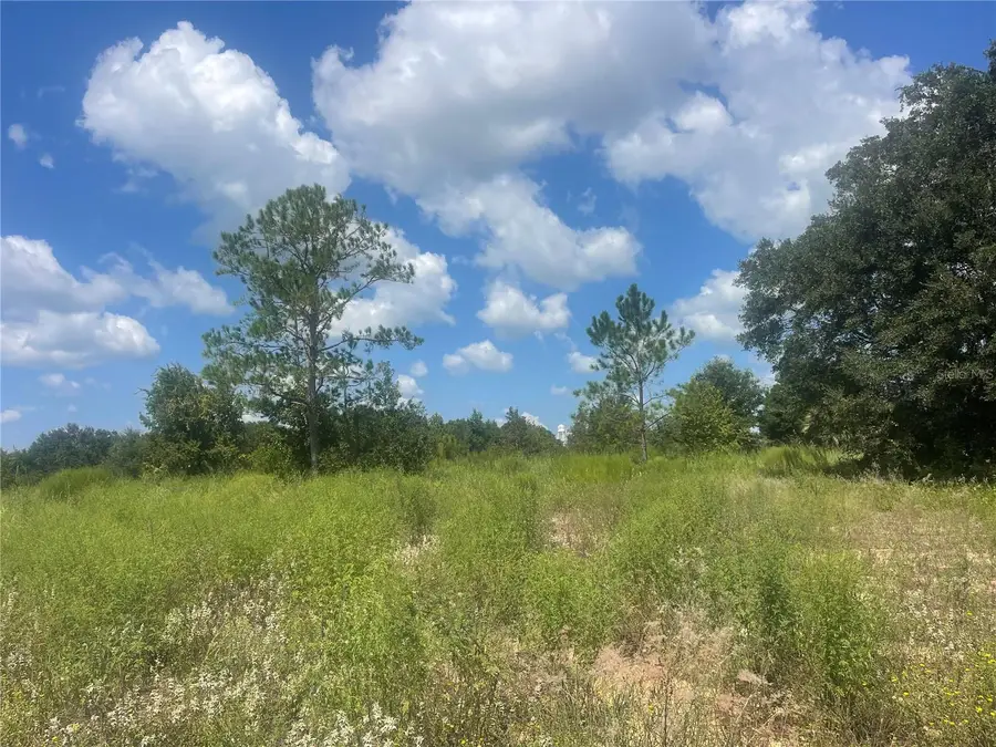 TBD Keene Road, Umatilla, FL 32784 - #2