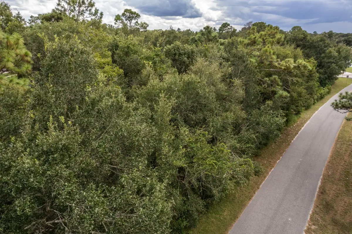 Interlachen Drive, Mount Plymouth, FL 32776 - Image #1