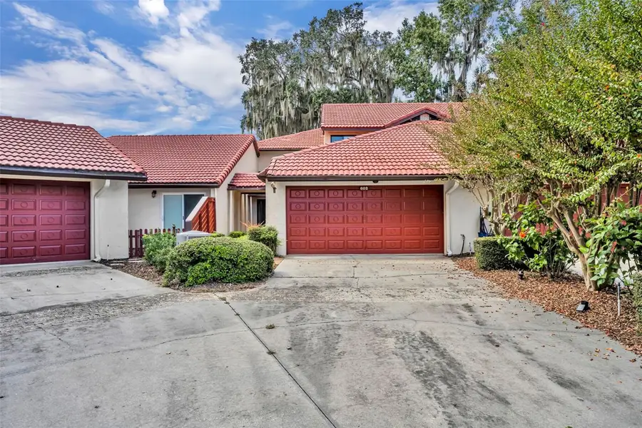 603 Waterwood Drive, Yalaha, FL 34797 - Image #2