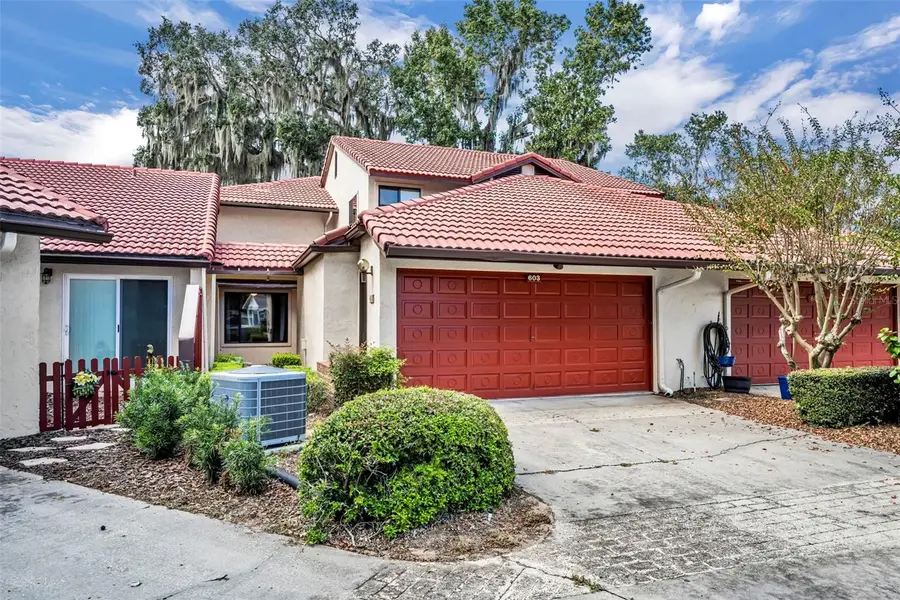 603 Waterwood Drive, Yalaha, FL 34797 - Image #3