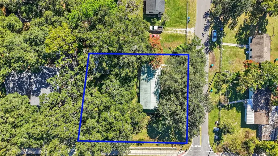 502 Gray Avenue, Wildwood, FL 34785 - Image #2