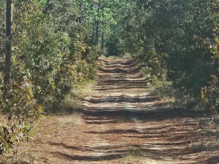 13099 SW 92nd Place, Dunnellon, FL 34432 - Image #3