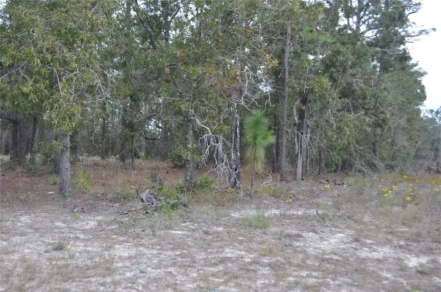 5009 W Ryan Court, Homosassa, FL 34446 - Image #3