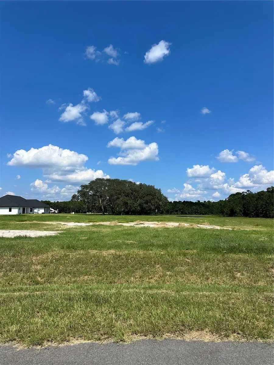 20276 Shoreline Ranch Lane, Umatilla, FL 32784 - Image #1