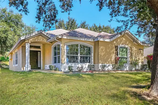 13320 Via Roma Circle, CLERMONT, FL 34711
