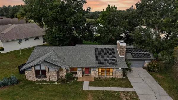 14823 Green Valley Boulevard, CLERMONT, FL 34711