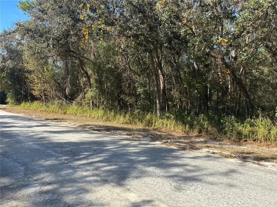 Arrowrock Street, Webster, FL 33597 - Image #2