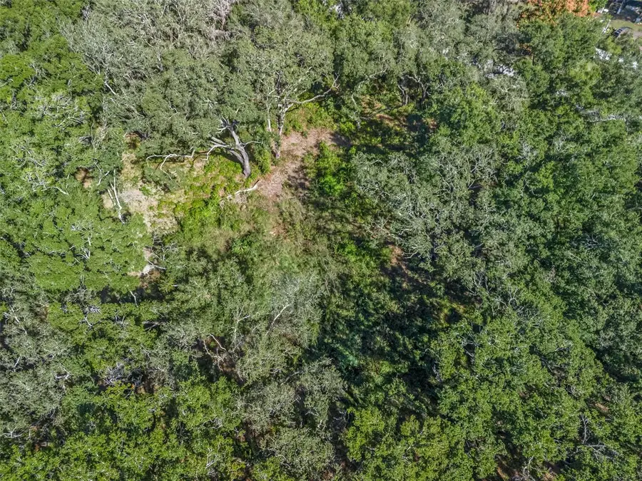 SE 99th Avenue, Summerfield, FL 34491 - Image #2