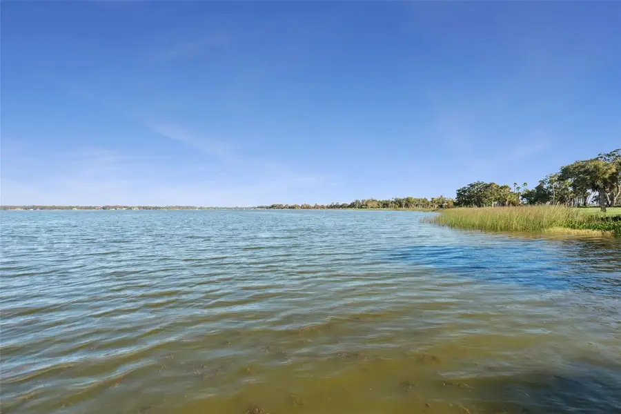 16951 Deer Island Road, Tavares, FL 32778 - #3