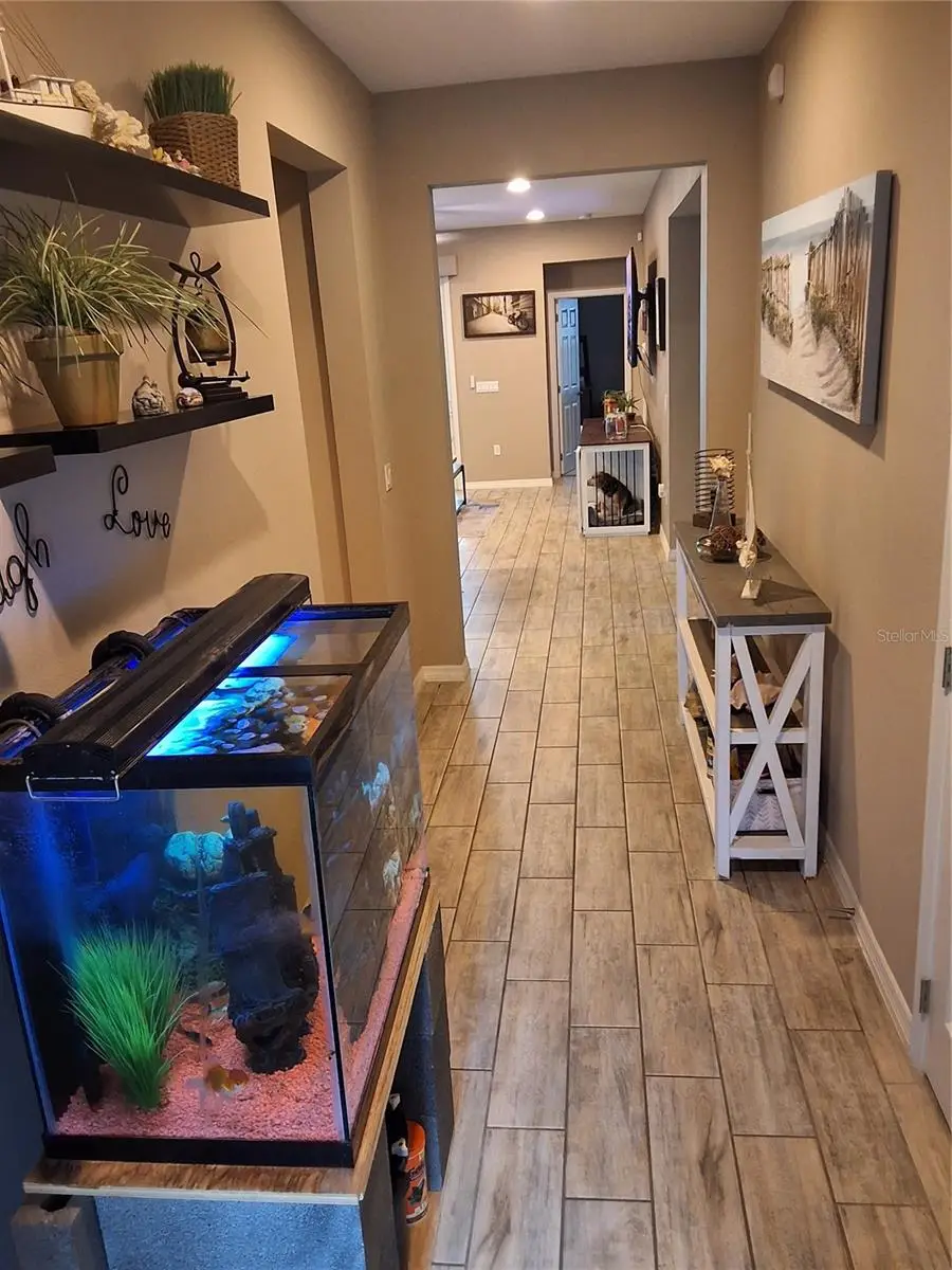 602 Conservation Boulevard, Groveland, FL 34736 - Image #2