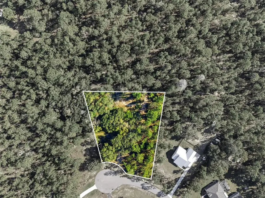 1811 County Road 243d, Wildwood, FL 34785 - Image #3