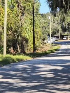 Yalaha Road, Yalaha, FL 34797 - Image #2