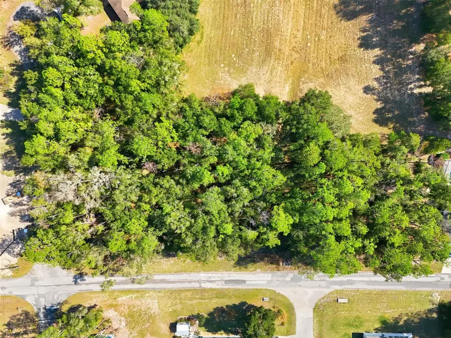 10441 N Biscayne Drive, Citrus Springs, FL 34434 - Image #2