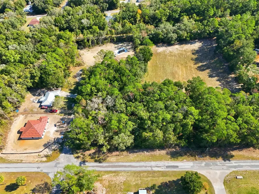 10441 N Biscayne Drive, Citrus Springs, FL 34434 - Image #3