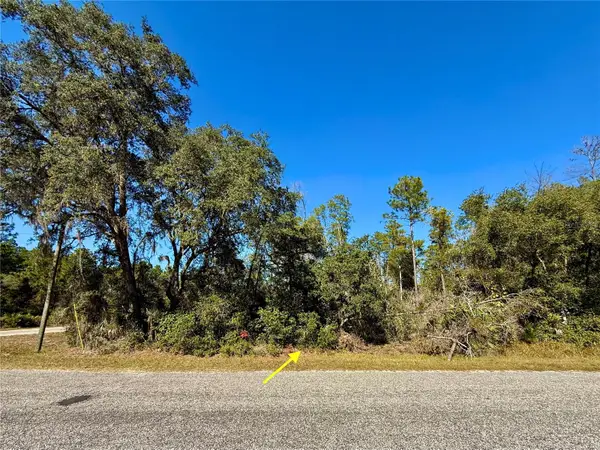 LOT 11 Tulip Avenue, EUSTIS, FL 32736