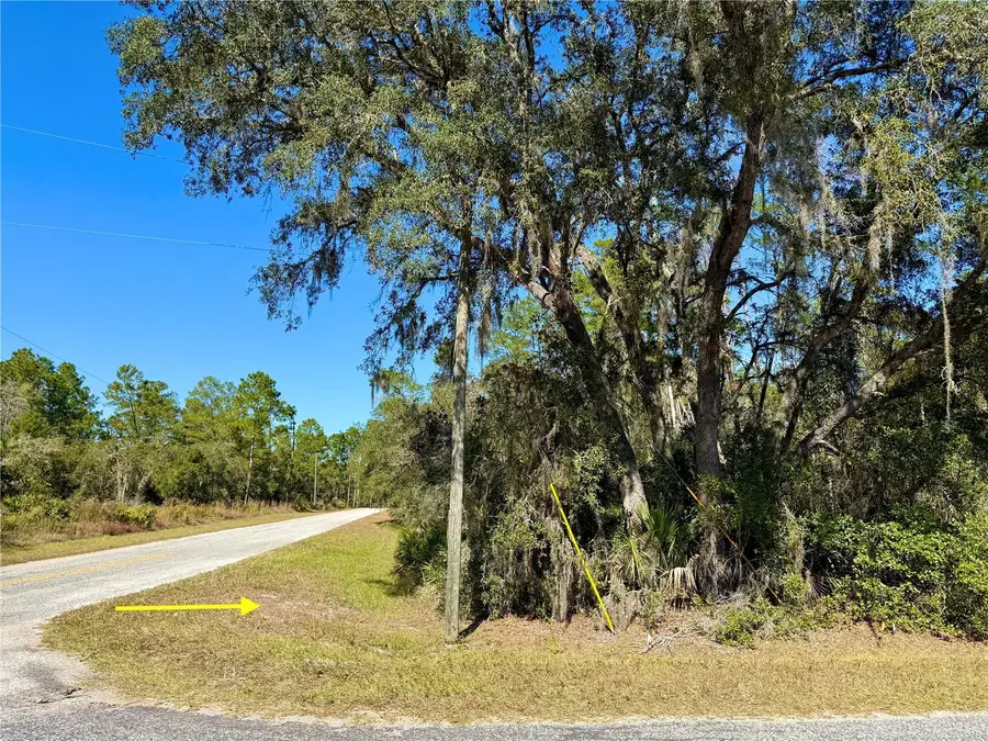 LOT 11 Tulip Avenue, Eustis, FL 32736 - Image #2