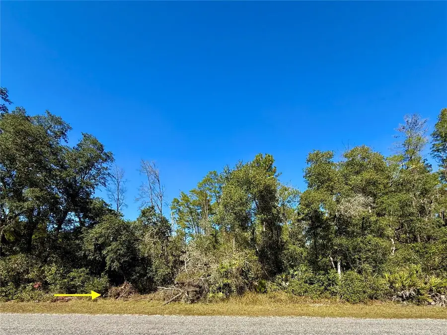 LOT 11 Tulip Avenue, Eustis, FL 32736 - Image #3