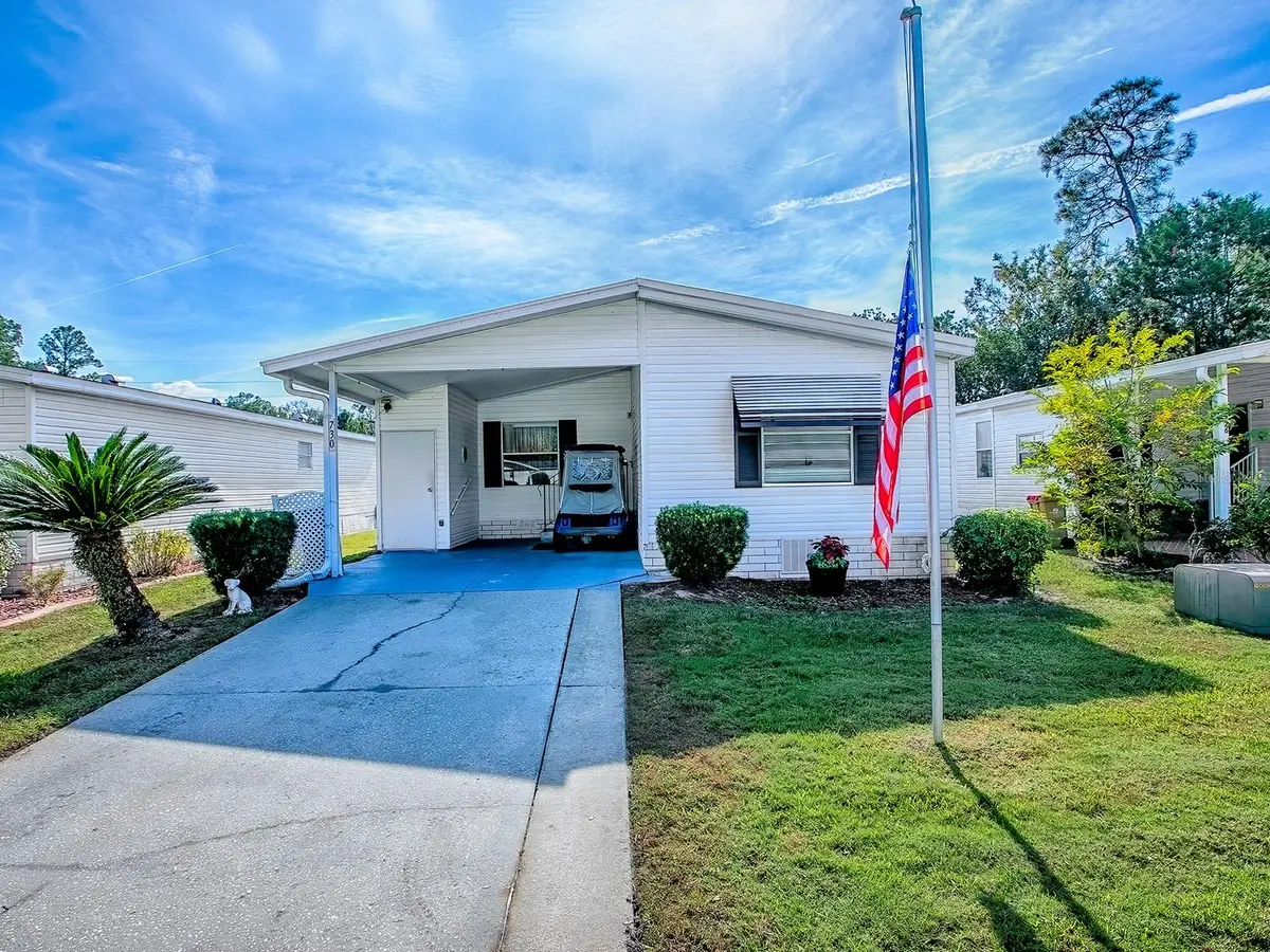 730 Cottage Park Lane, Leesburg, FL 34748 - Image #1