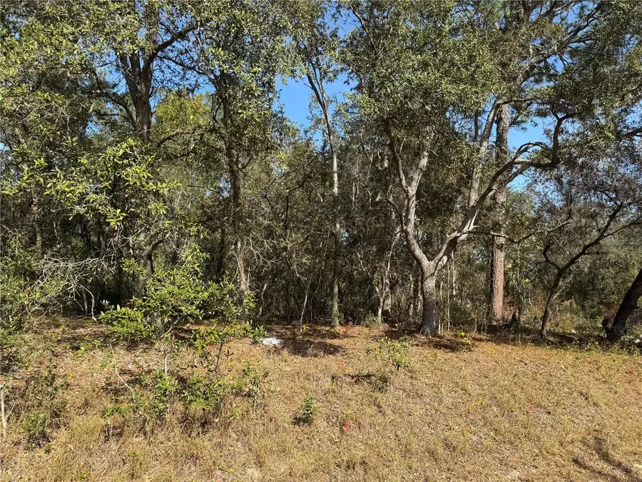 SE 115 Place Road, Ocklawaha, FL 32179 - Image #2