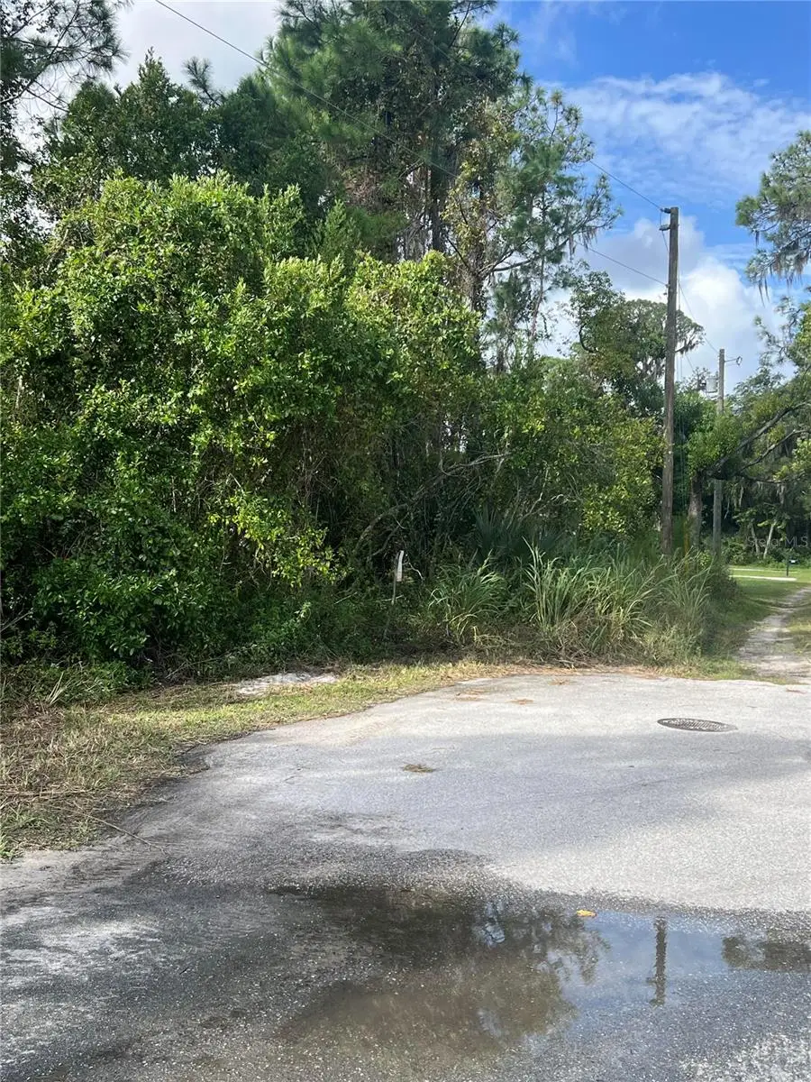 Herrick Avenue, Eustis, FL 32726 - Image #1