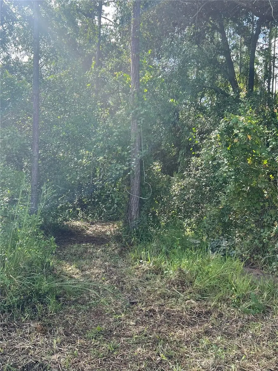 Herrick Avenue, Eustis, FL 32726 - Image #2