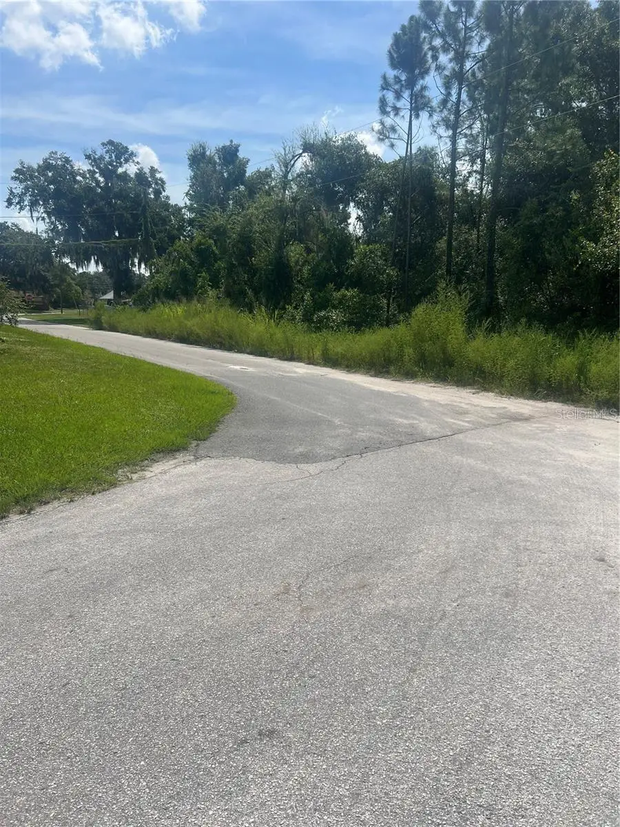 Herrick Avenue, Eustis, FL 32726 - Image #3