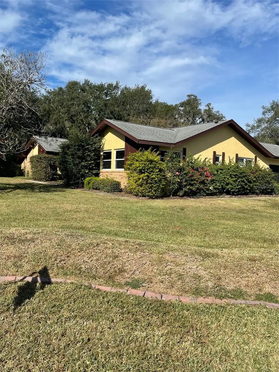 410 E Orchid Way, Howey In The Hills, FL 34737 - Image #3