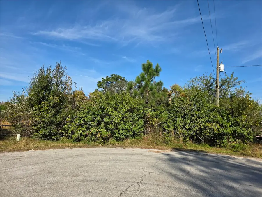 11975 Backland Path, Polk City, FL 33868 - Image #2