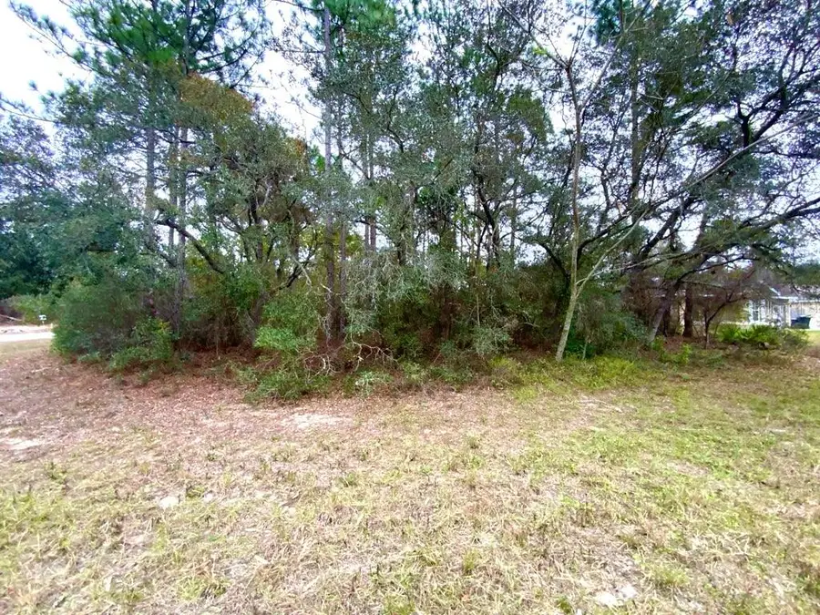 TBD SW 150 Lane #09, Ocala, FL 34473 - Image #3