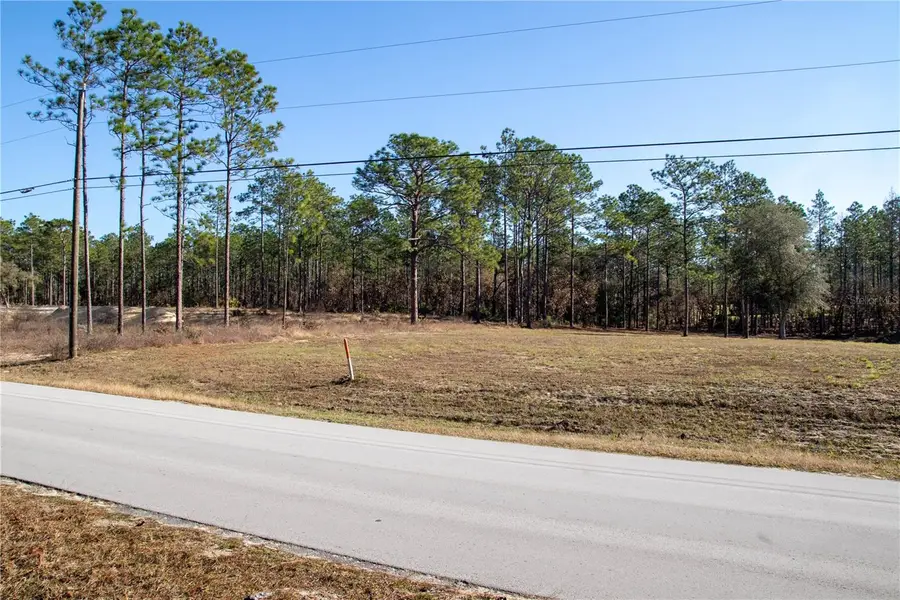 LOT 4 SW 129th Terrace Road, Ocala, FL 34481 - Image #3