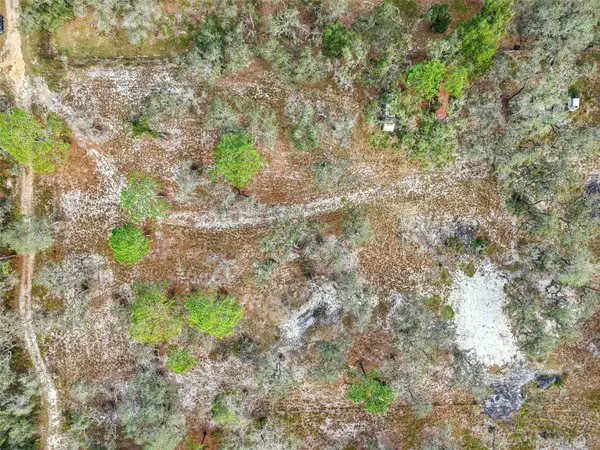 0 Treasure Island Road, LEESBURG, FL 34788