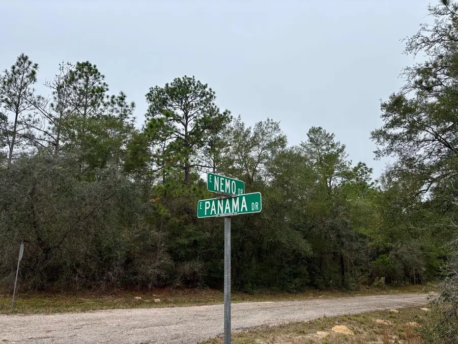 517 E Nemo Drive, Citrus Springs, FL 34434 - Image #3