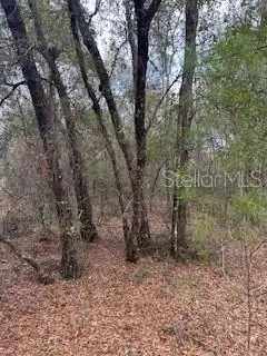 00 Riviera Drive, Interlachen, FL 32148 - Image #3