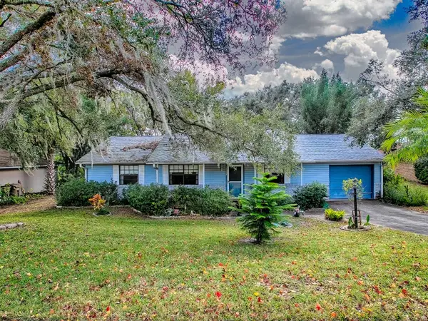 12534 Wedgefield Drive, GRAND ISLAND, FL 32735