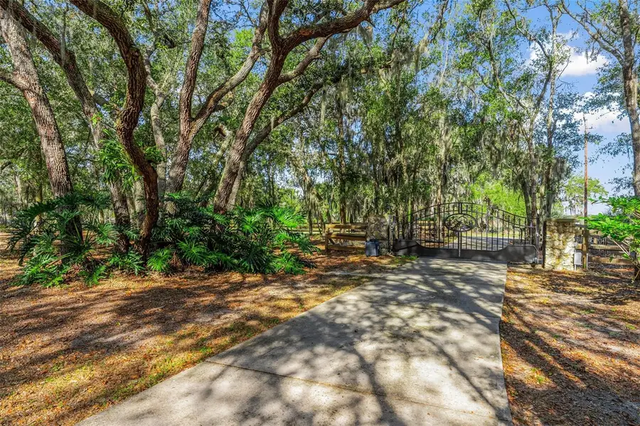 5100 Griffin View Drive, Lady Lake, FL 32159 - Image #2