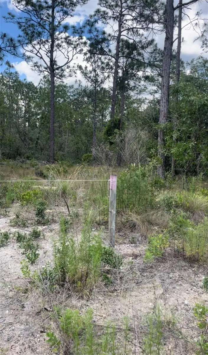 0 NW Rigewood Road, Dunnellon, FL 34431 - Image #3