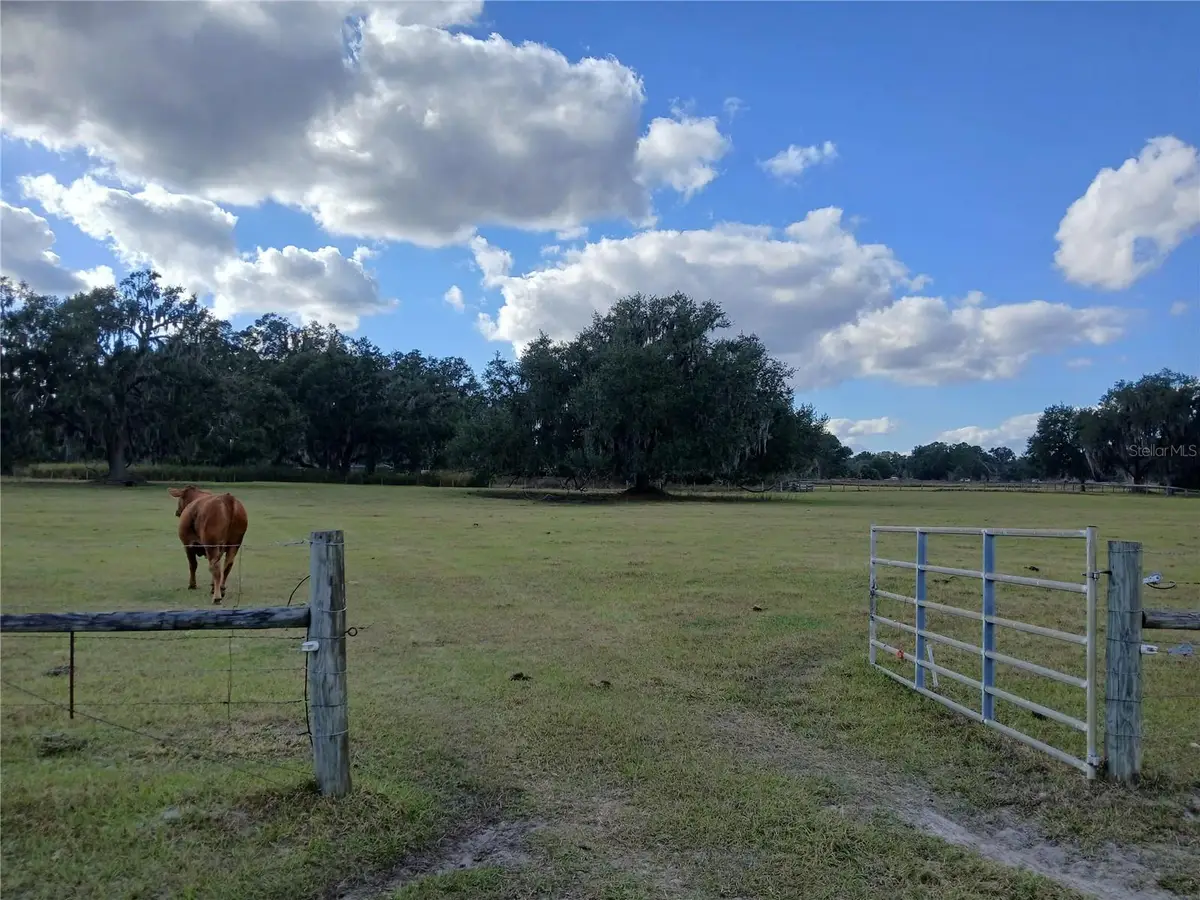 7975 Cr 736, Center Hill, FL 33514 - Image #1