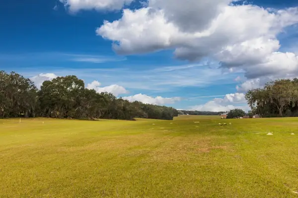 17520 SE 159th Terrace, WEIRSDALE, FL 32195