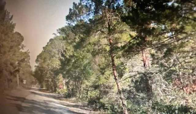 3248 Glen Springs Avenue, Lake Placid, FL 33852 - Image #3