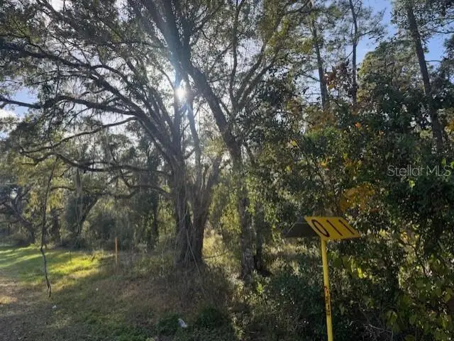 6355 Treiman Boulevard, Webster, FL 33597 - Image #2