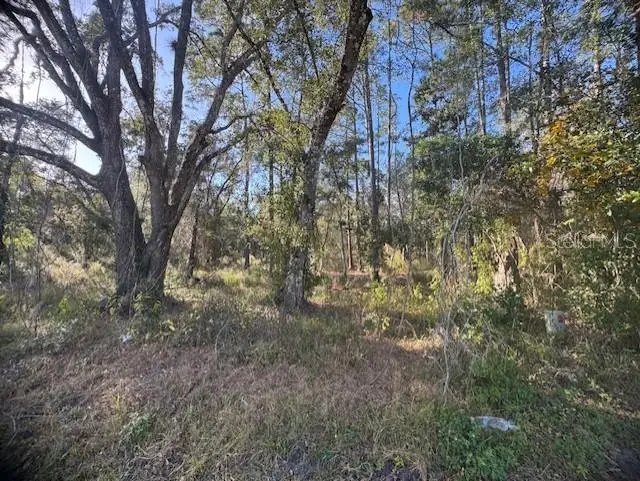 6355 Treiman Boulevard, Webster, FL 33597 - Image #3