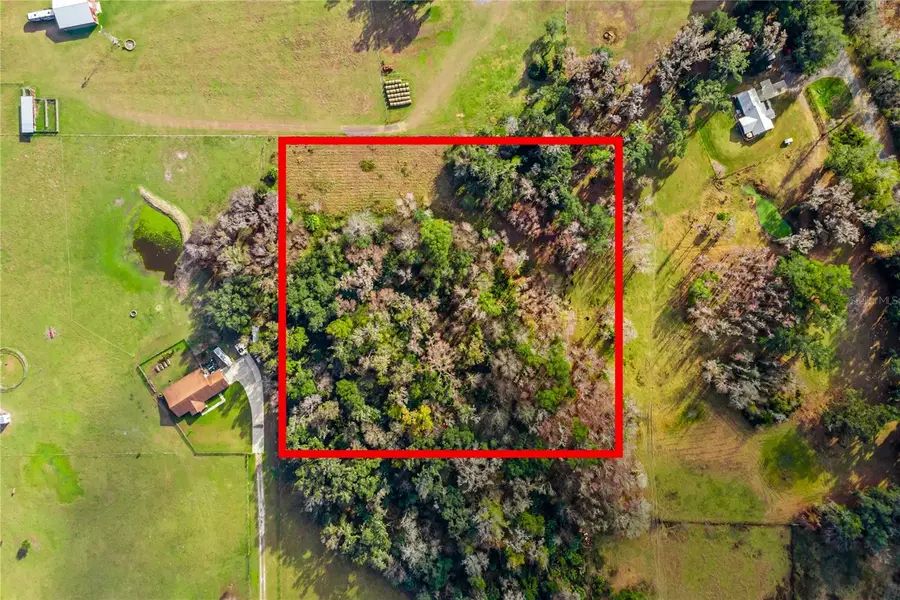 TBD Cr 526, Sumterville, FL 33585 - Image #2