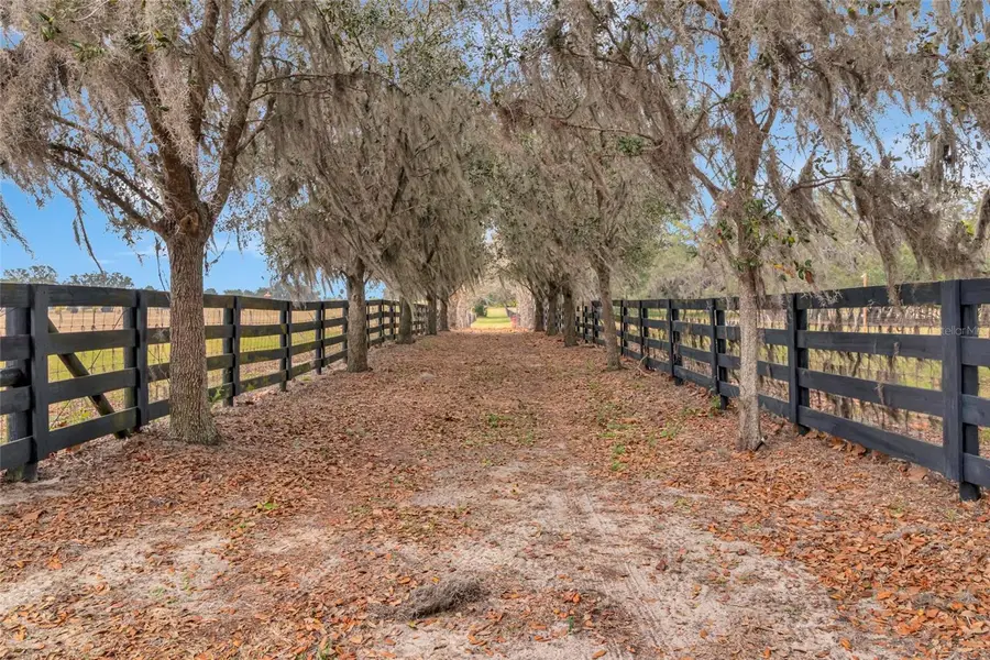 Wolf Branch Road, Sorrento, FL 32776 - Image #3