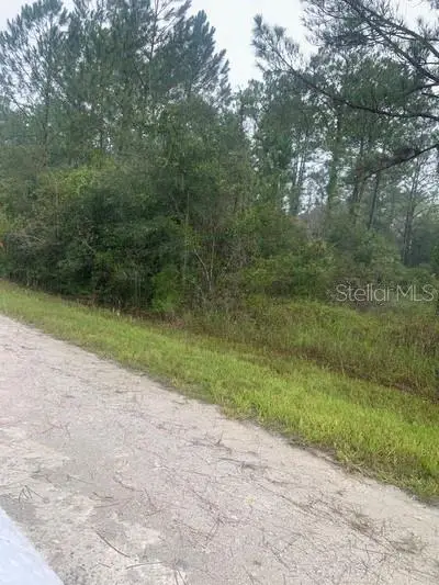 TBD Otter Drive, WEBSTER, FL 33597