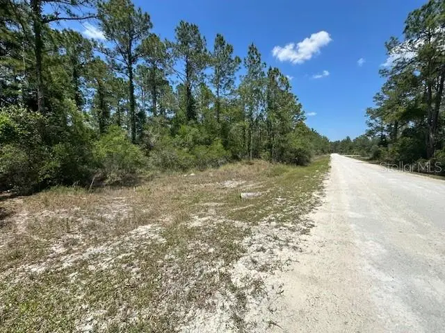 TBD Otter Drive, Webster, FL 33597 - Image #3