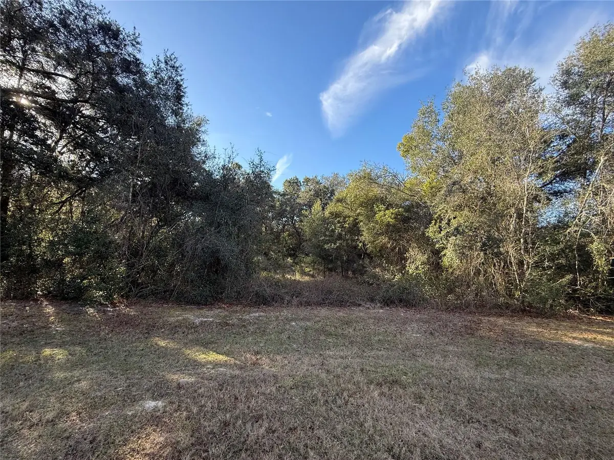 Harris Lake Road, Lady Lake, FL 32159 - Image #1