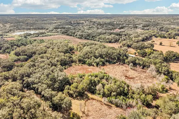 Harris Lake Road, LADY LAKE, FL 32159