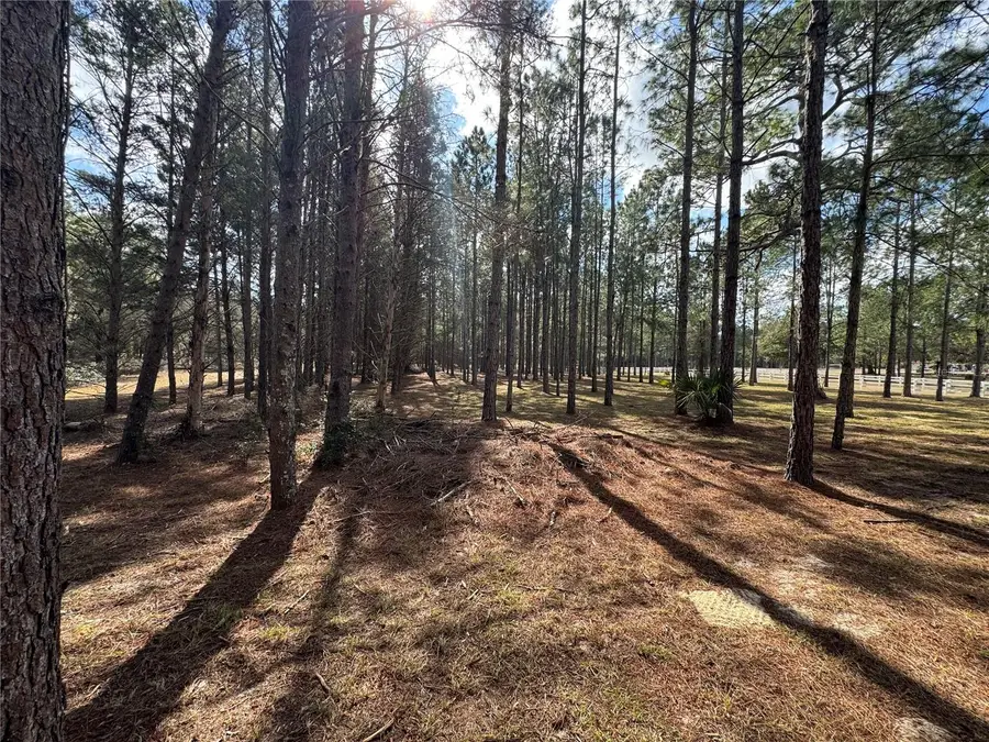 Sw 70th Ter, Bushnell, FL 33513 - #3