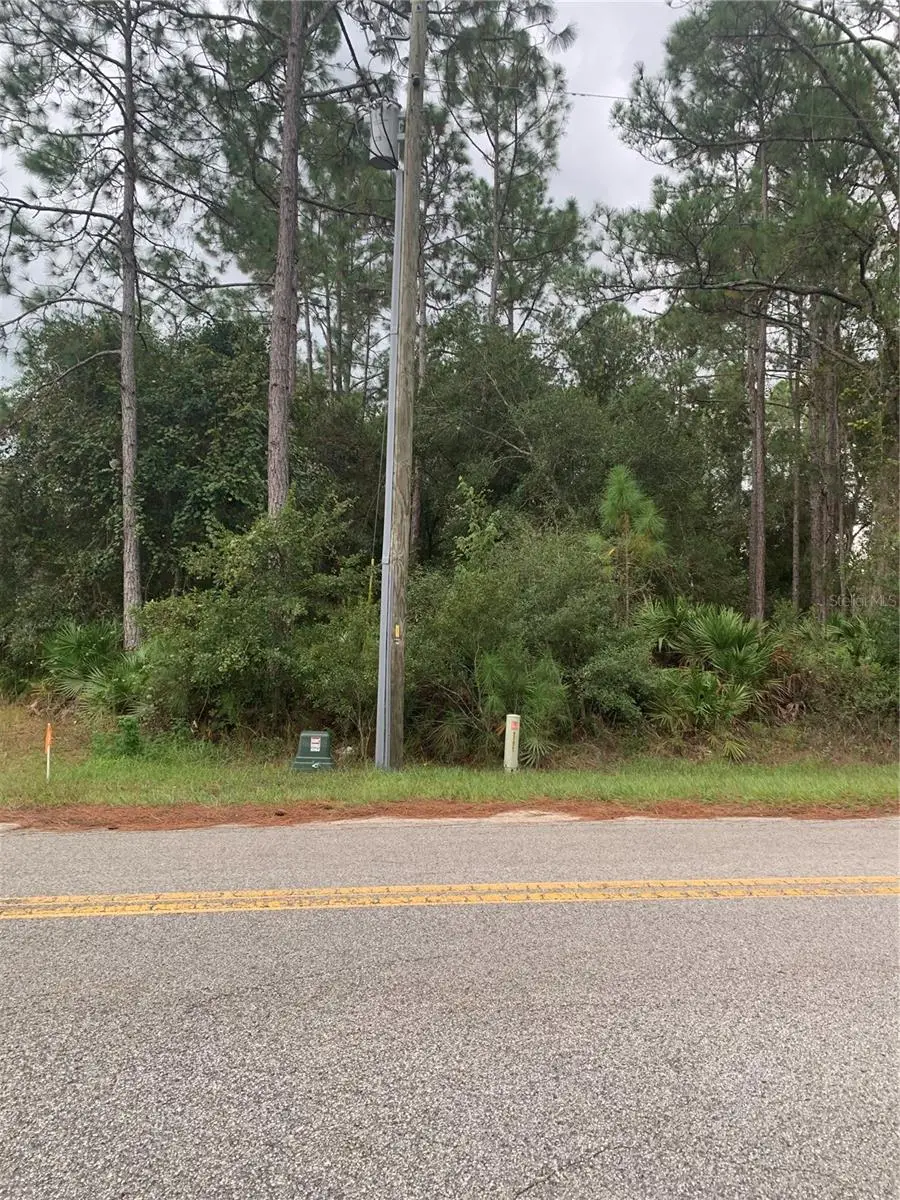 Oil Well Road, Clermont, FL 34714 - Image #2